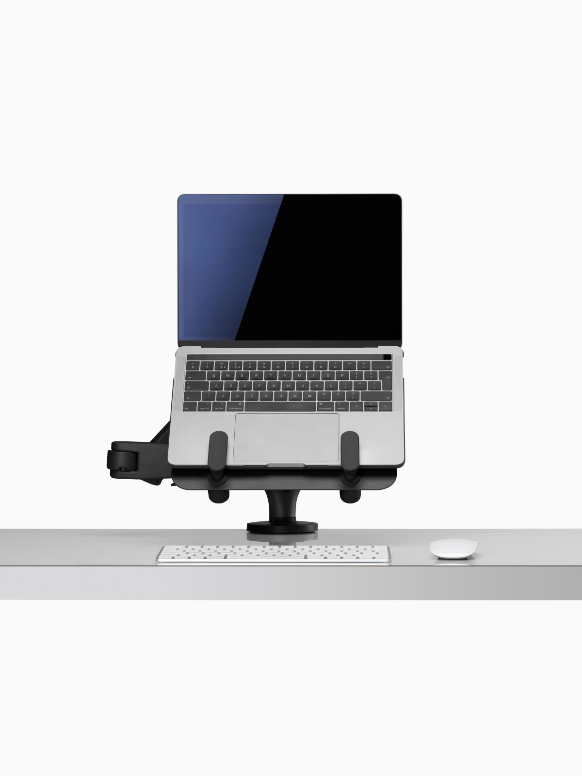 Ollin Laptop and Tablet Mount